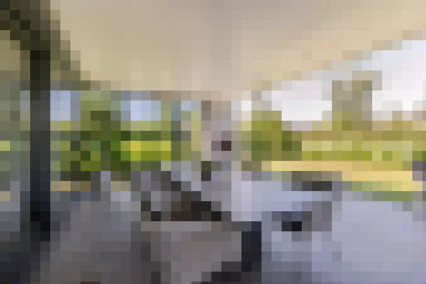 Boschrand 28 Goirle thumbnail 51