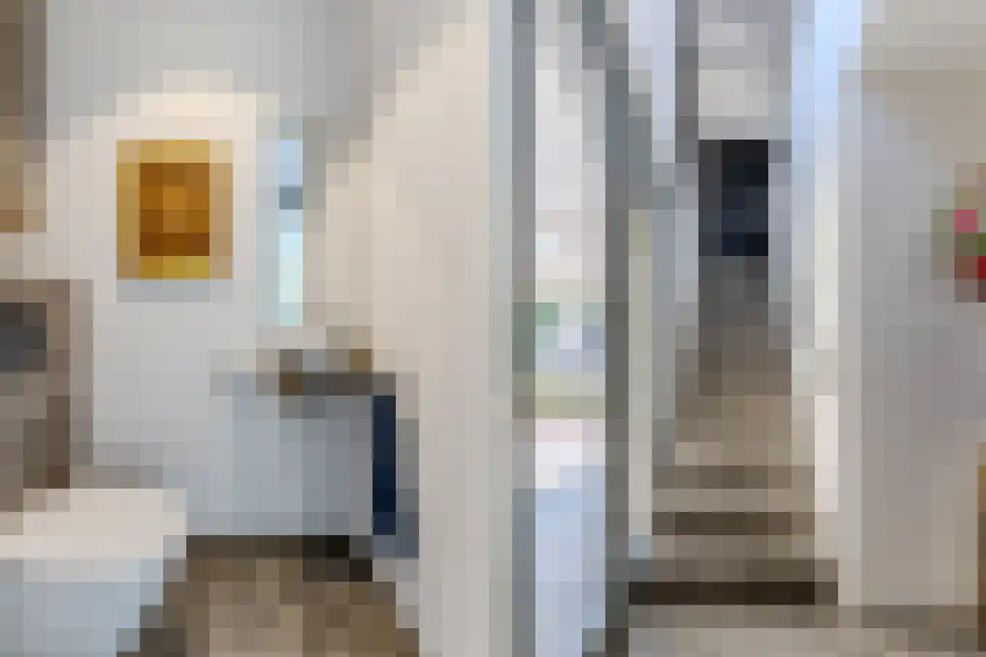 Boschrand 28 Goirle thumbnail 6