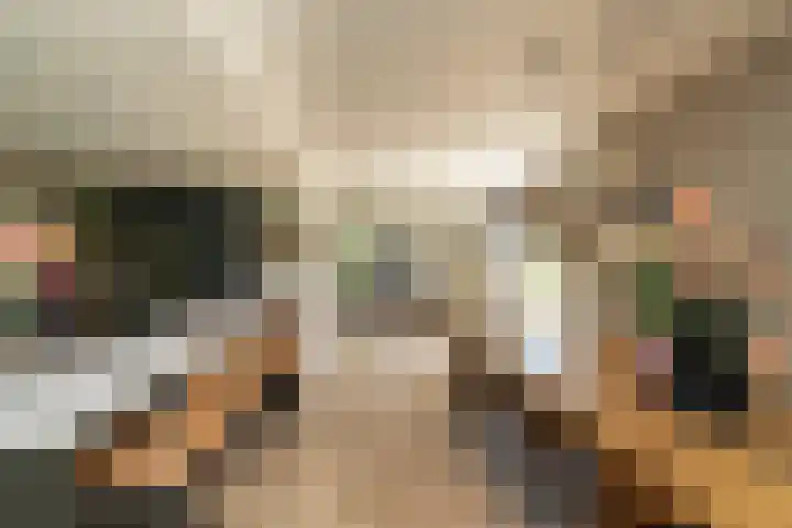 Boschring 1 01 Goirle thumbnail 21