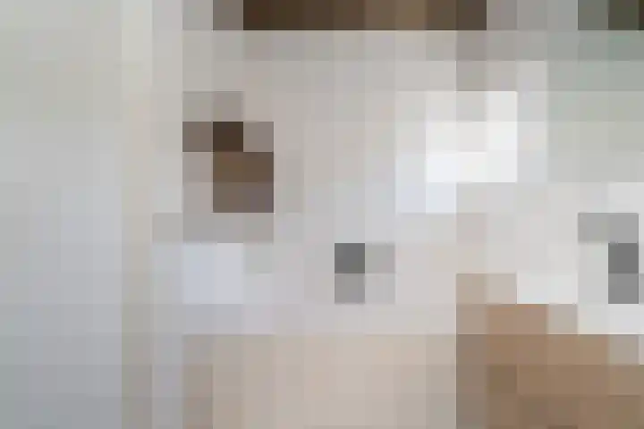 Boschring 1 01 Goirle thumbnail 36