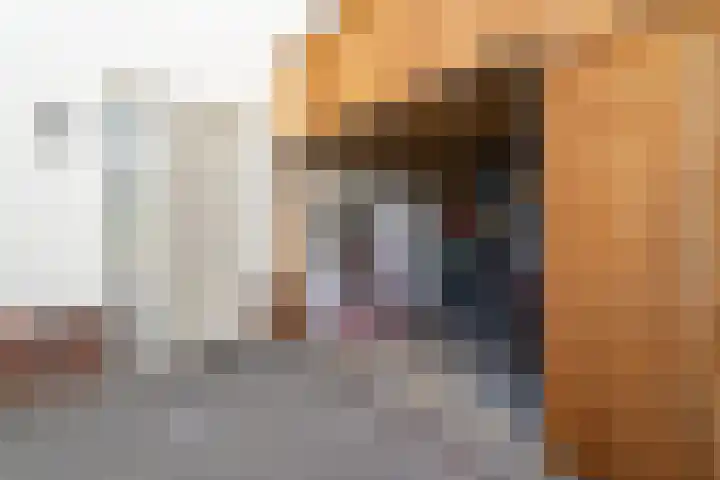 Boschring 1 01 Goirle thumbnail 4