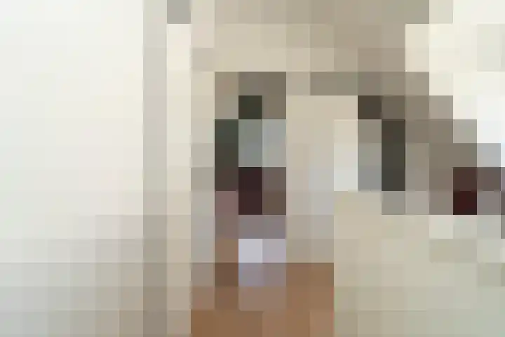 Boschring 1 01 Goirle thumbnail 52