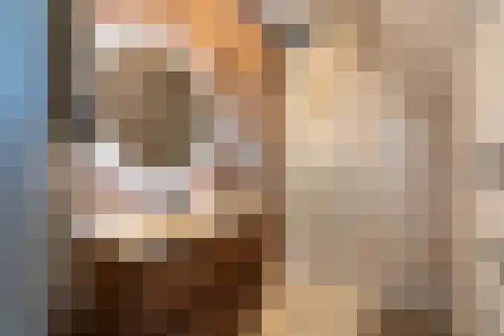 Boschring 1 01 Goirle thumbnail 53