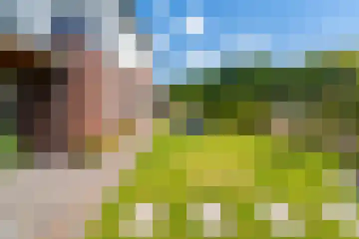 Boschring 1 01 Goirle thumbnail 56