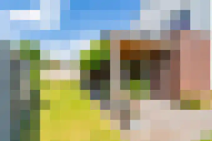 Boschring 1 01 Goirle thumbnail 58