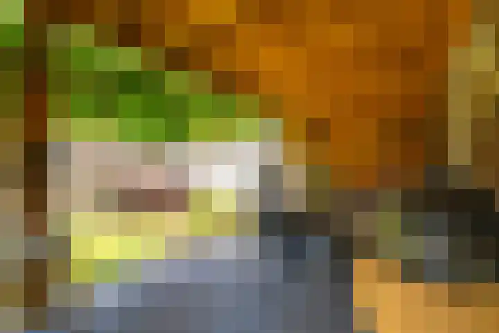 Boschring 1 01 Goirle thumbnail 59