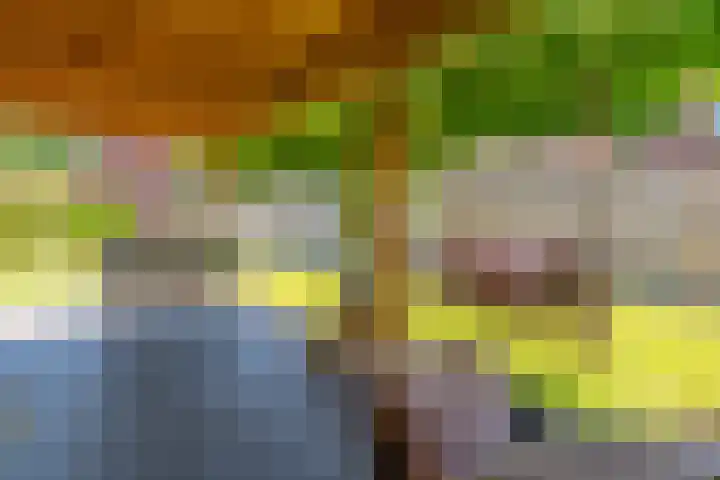 Boschring 1 01 Goirle thumbnail 60