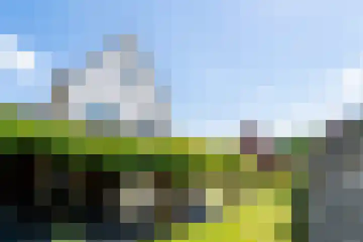 Boschring 1 01 Goirle thumbnail 61