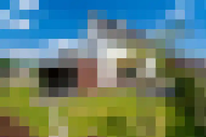 Boschring 1 01 Goirle thumbnail 62