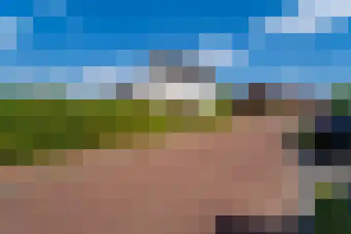 Boschring 1 01 Goirle thumbnail 65