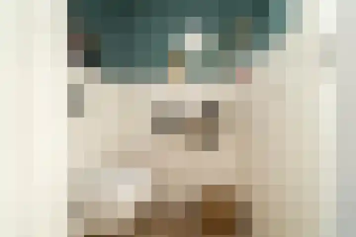 Boschring 1 01 Goirle thumbnail 7