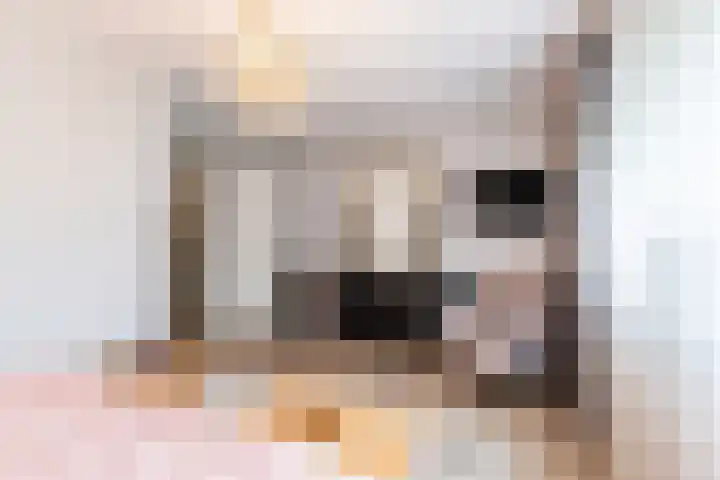 Boschring 11 Goirle thumbnail 16
