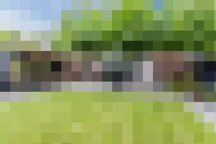 Boschring 11 Goirle thumbnail 28