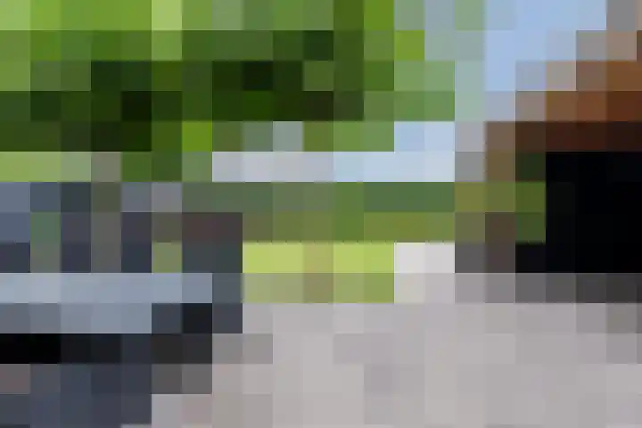 Boschring 11 Goirle thumbnail 29