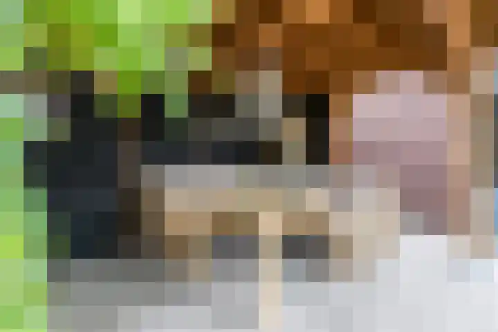 Boschring 11 Goirle thumbnail 30