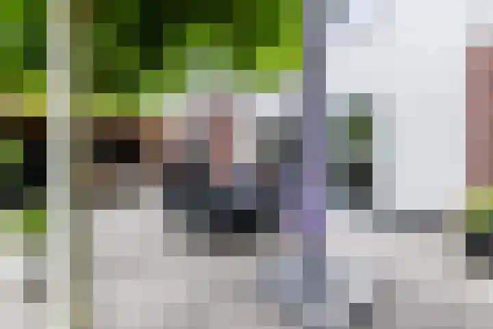 Boschring 11 Goirle thumbnail 31