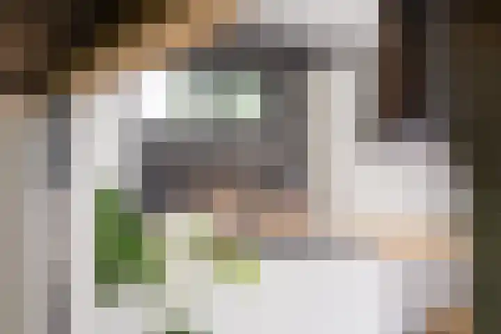 Boschring 11 Goirle thumbnail 4