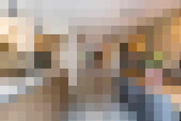 Boschring 11 Goirle thumbnail 6