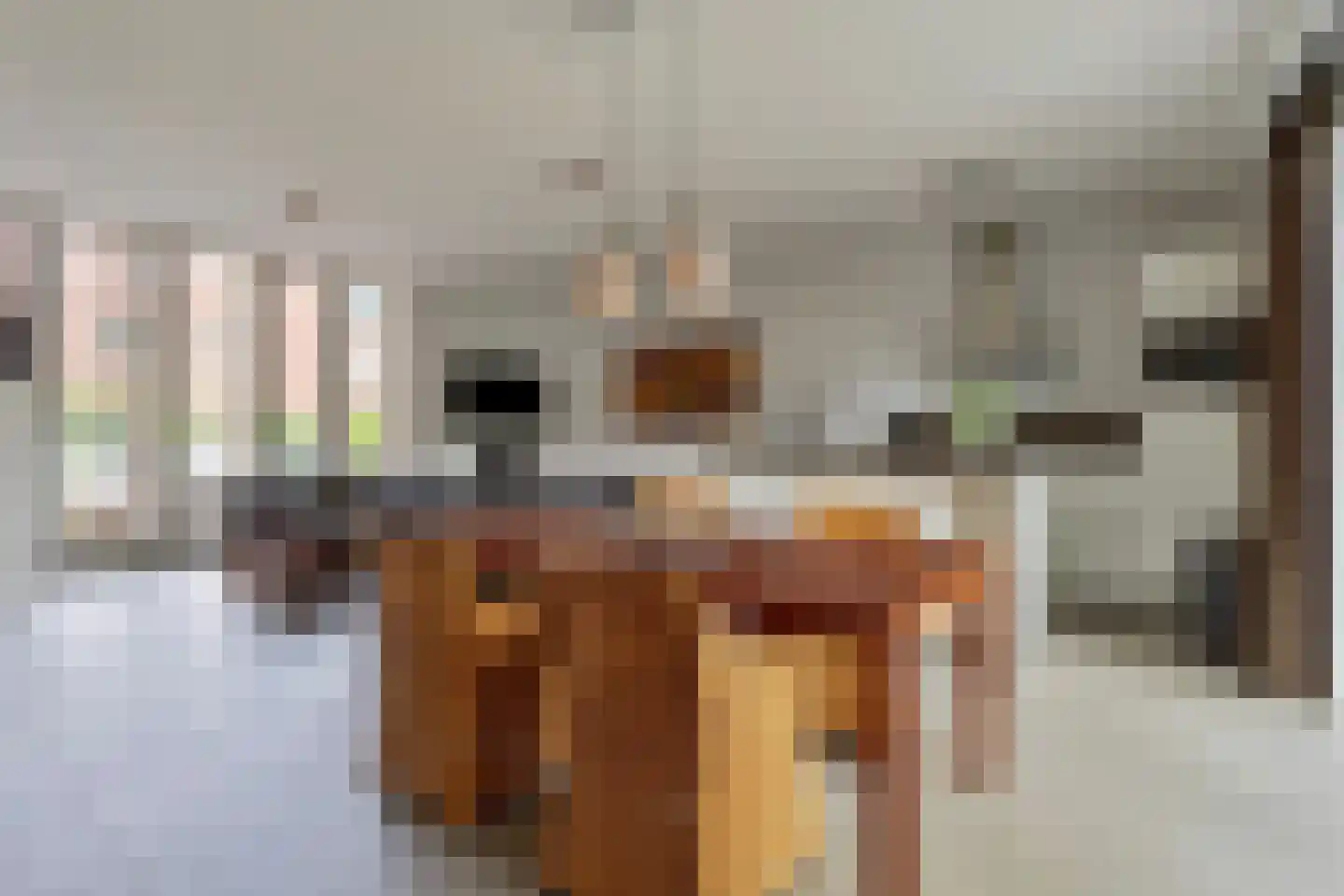Boschring 50 Goirle thumbnail 10