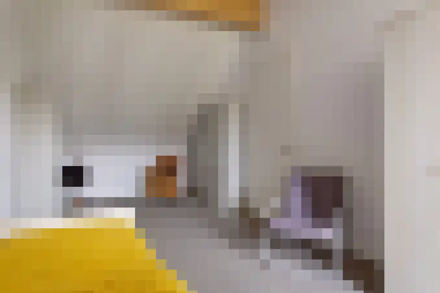 Boschring 50 Goirle thumbnail 37