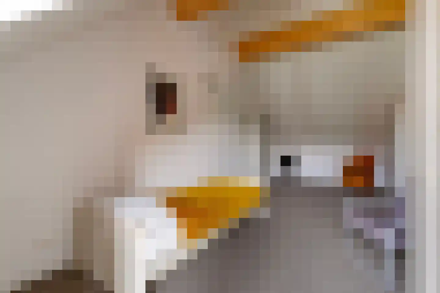 Boschring 50 Goirle thumbnail 38