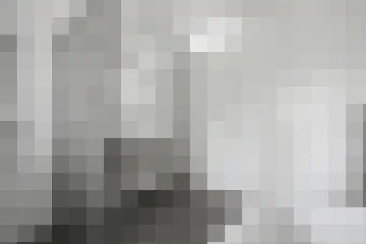 Boschring 70 Goirle thumbnail 22