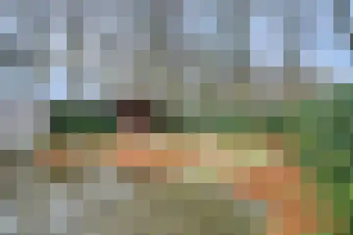 Boschring 70 Goirle thumbnail 28