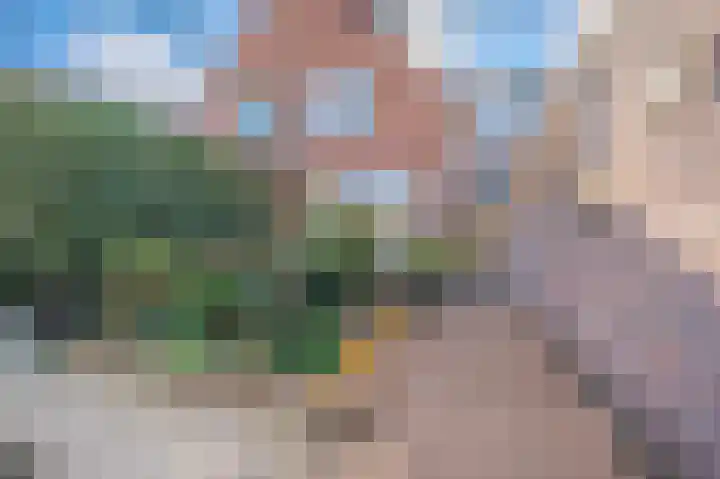 Boschsingel 23 Winschoten thumbnail 62