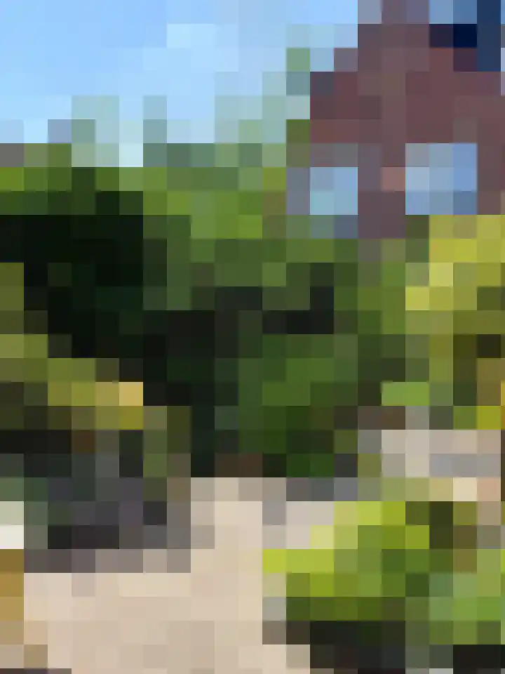 Boschsingel 23 Winschoten thumbnail 63