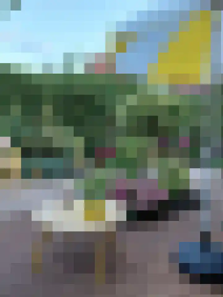Boschsingel 23 Winschoten thumbnail 67
