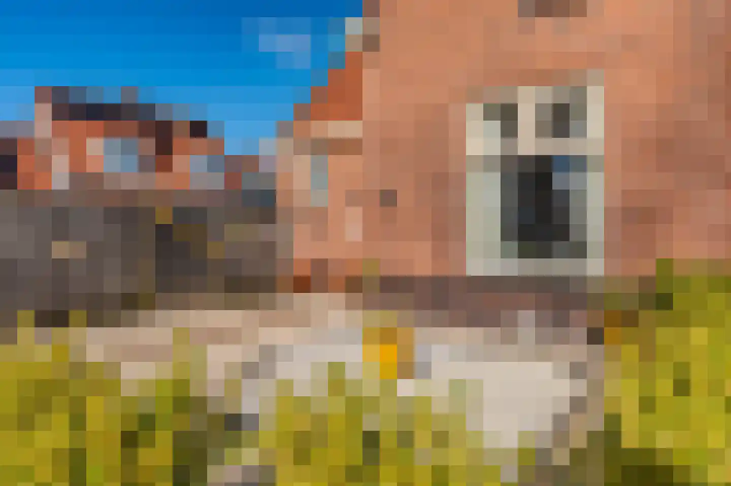 Boschsingel 23 Winschoten thumbnail 8
