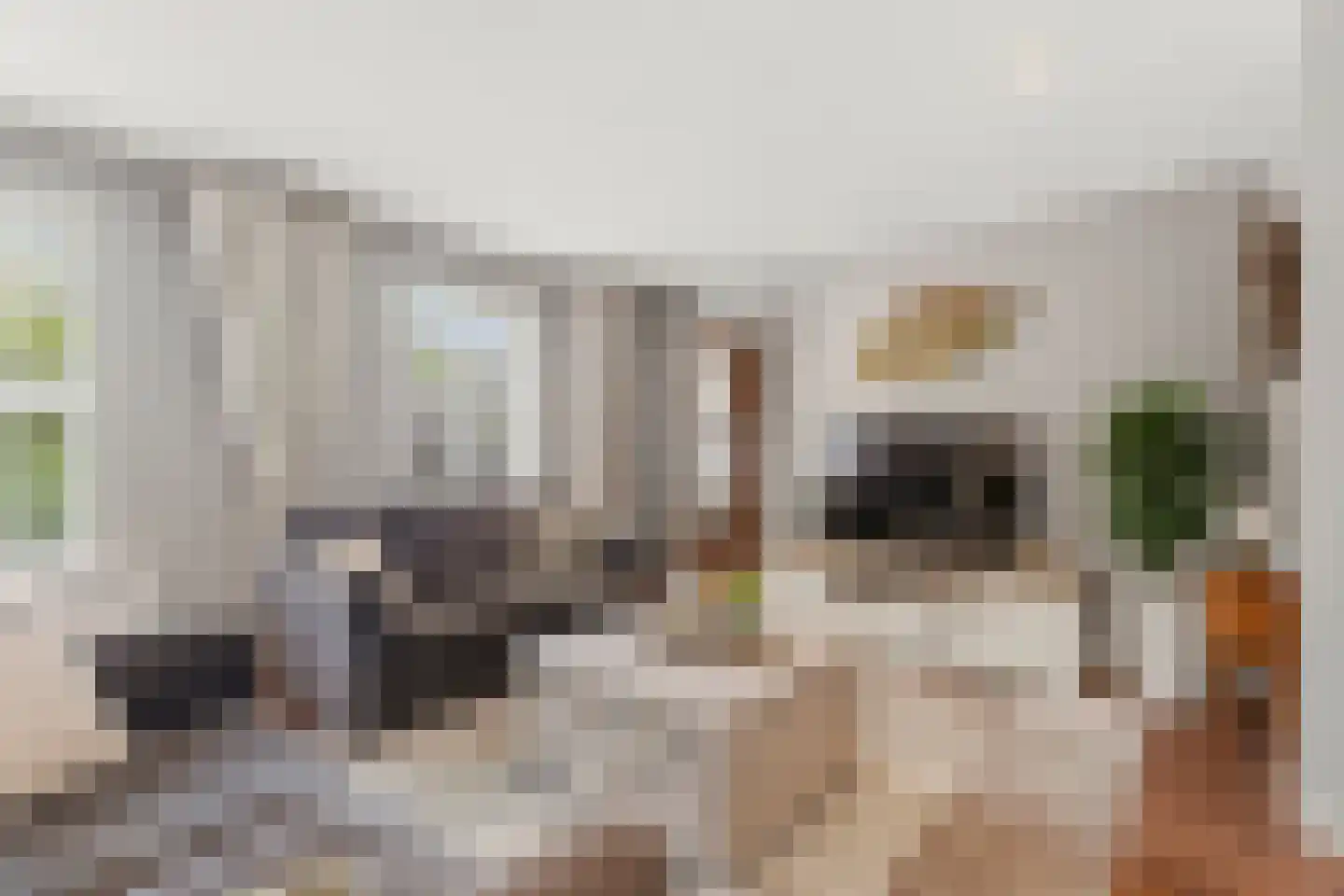 Boschstraat 10 Duiven thumbnail 11