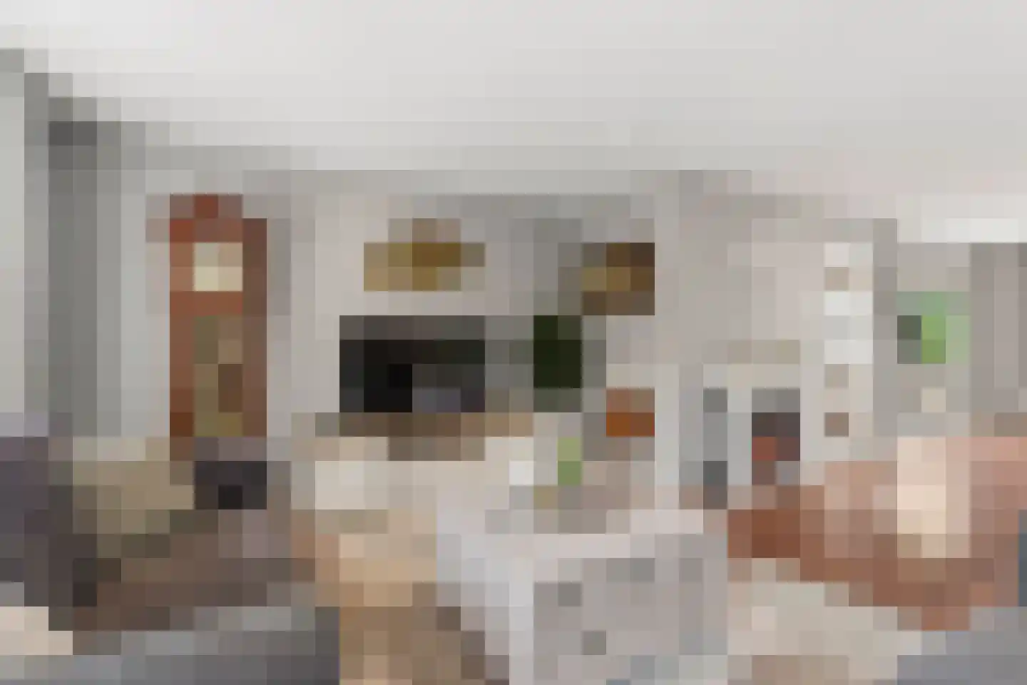 Boschstraat 10 Duiven thumbnail 12