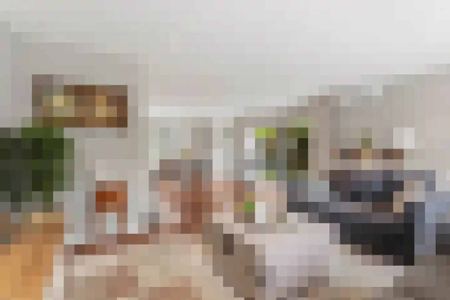 Boschstraat 10 Duiven thumbnail 14