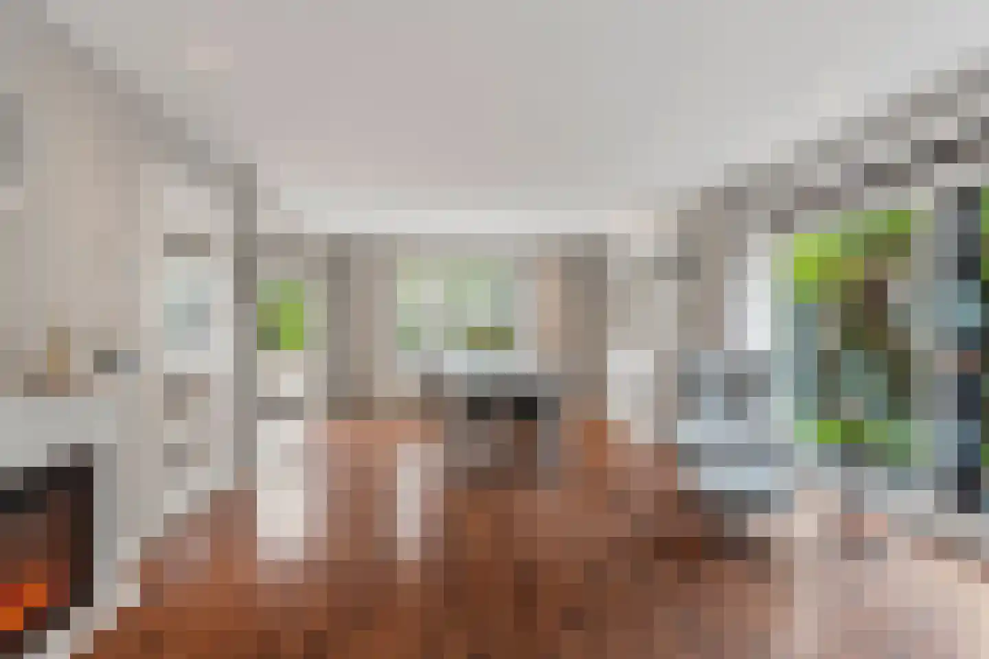 Boschstraat 10 Duiven thumbnail 15