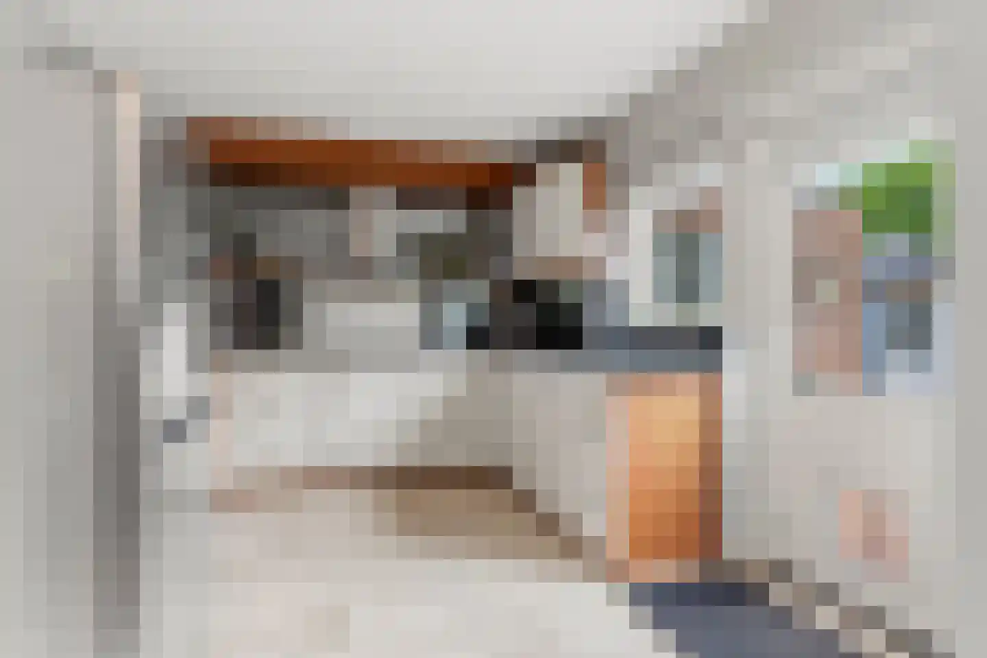 Boschstraat 10 Duiven thumbnail 18