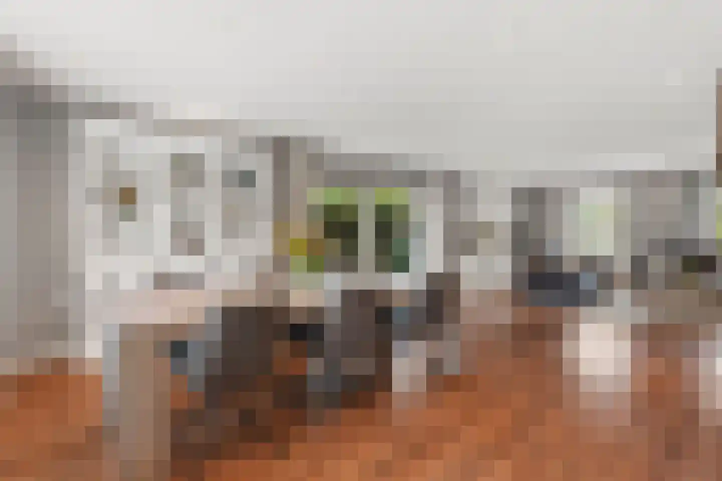 Boschstraat 10 Duiven thumbnail 22