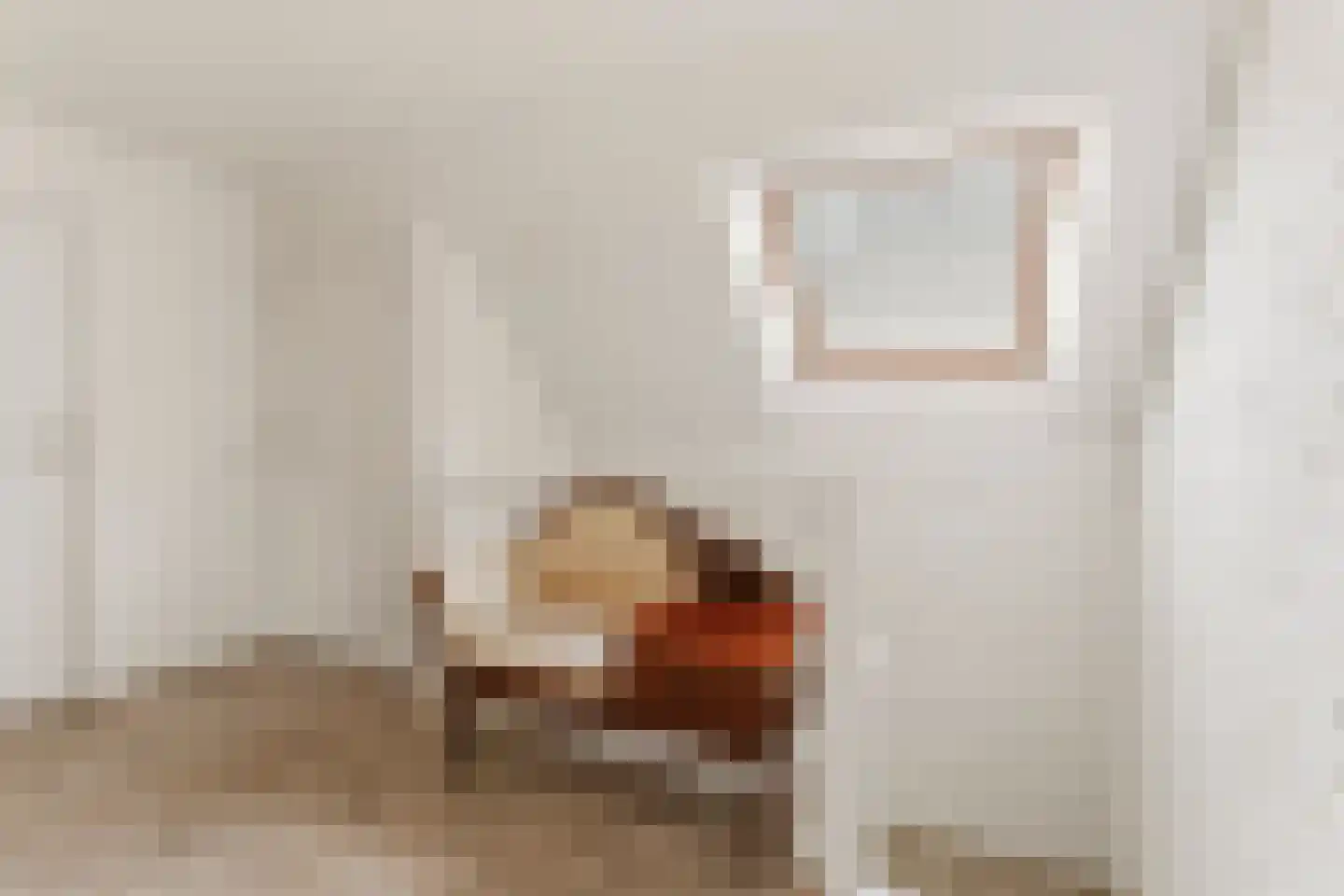 Boschstraat 10 Duiven thumbnail 23