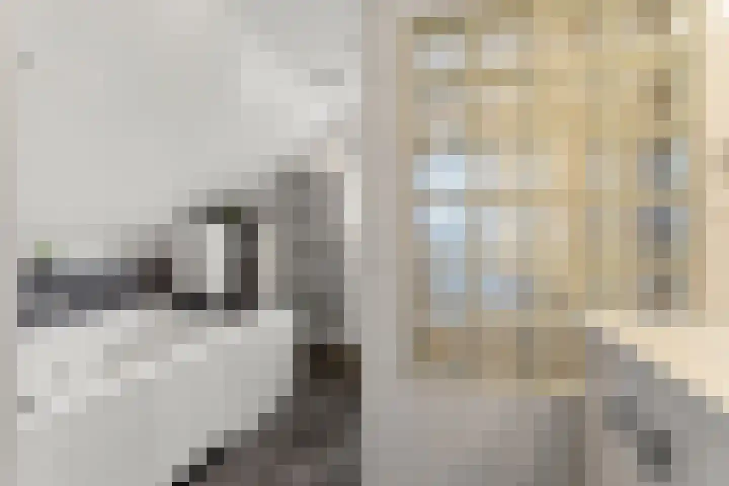 Boschstraat 10 Duiven thumbnail 35