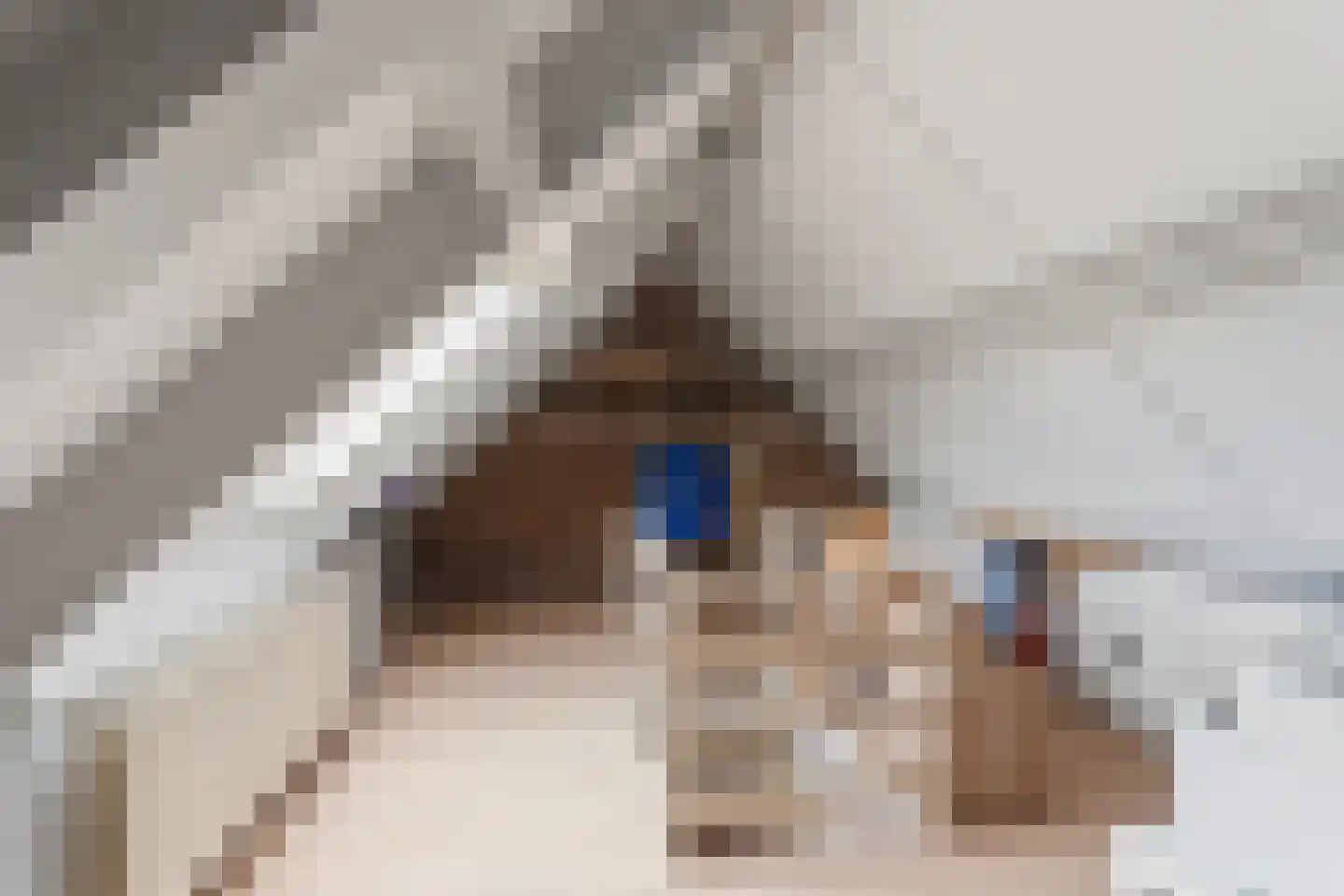 Boschstraat 10 Duiven thumbnail 39
