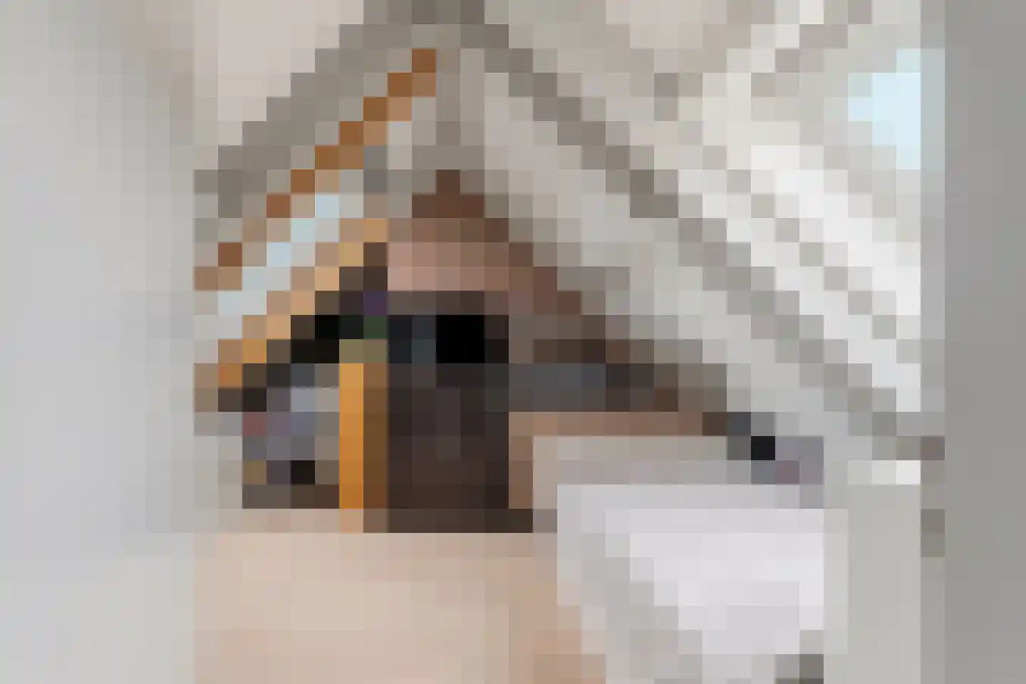 Boschstraat 10 Duiven thumbnail 41