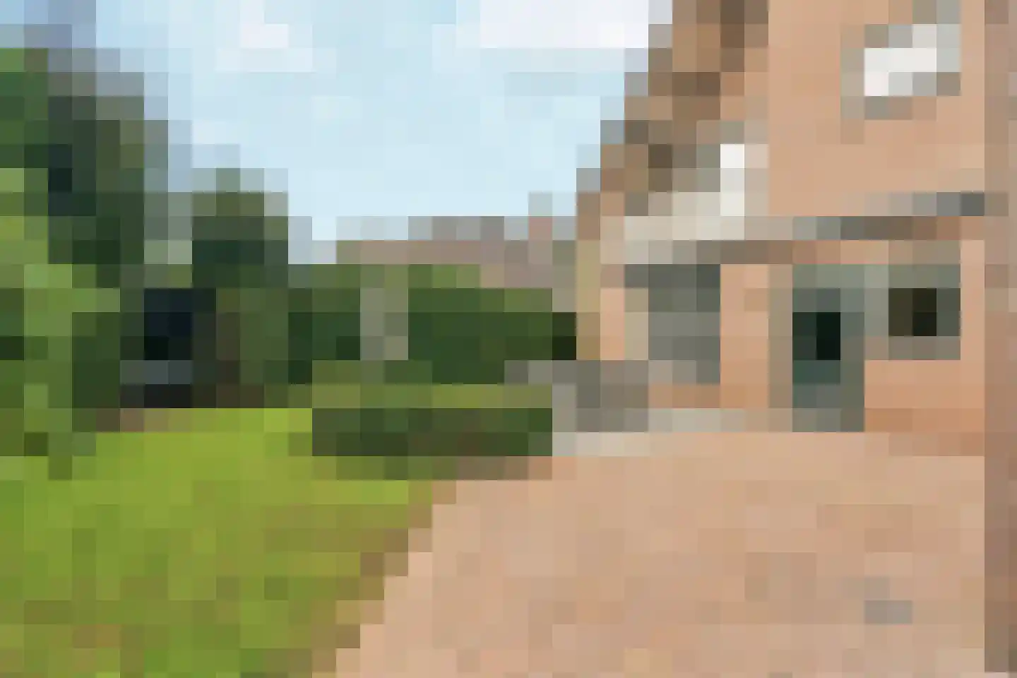 Boschstraat 10 Duiven thumbnail 42