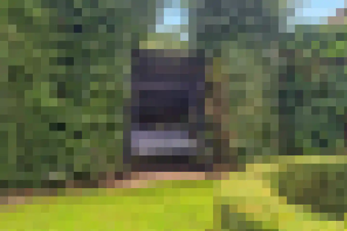 Boschstraat 10 Duiven thumbnail 46