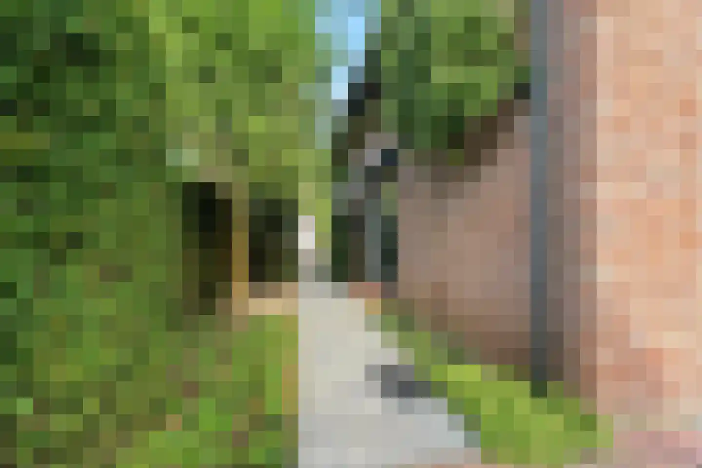 Boschstraat 10 Duiven thumbnail 48