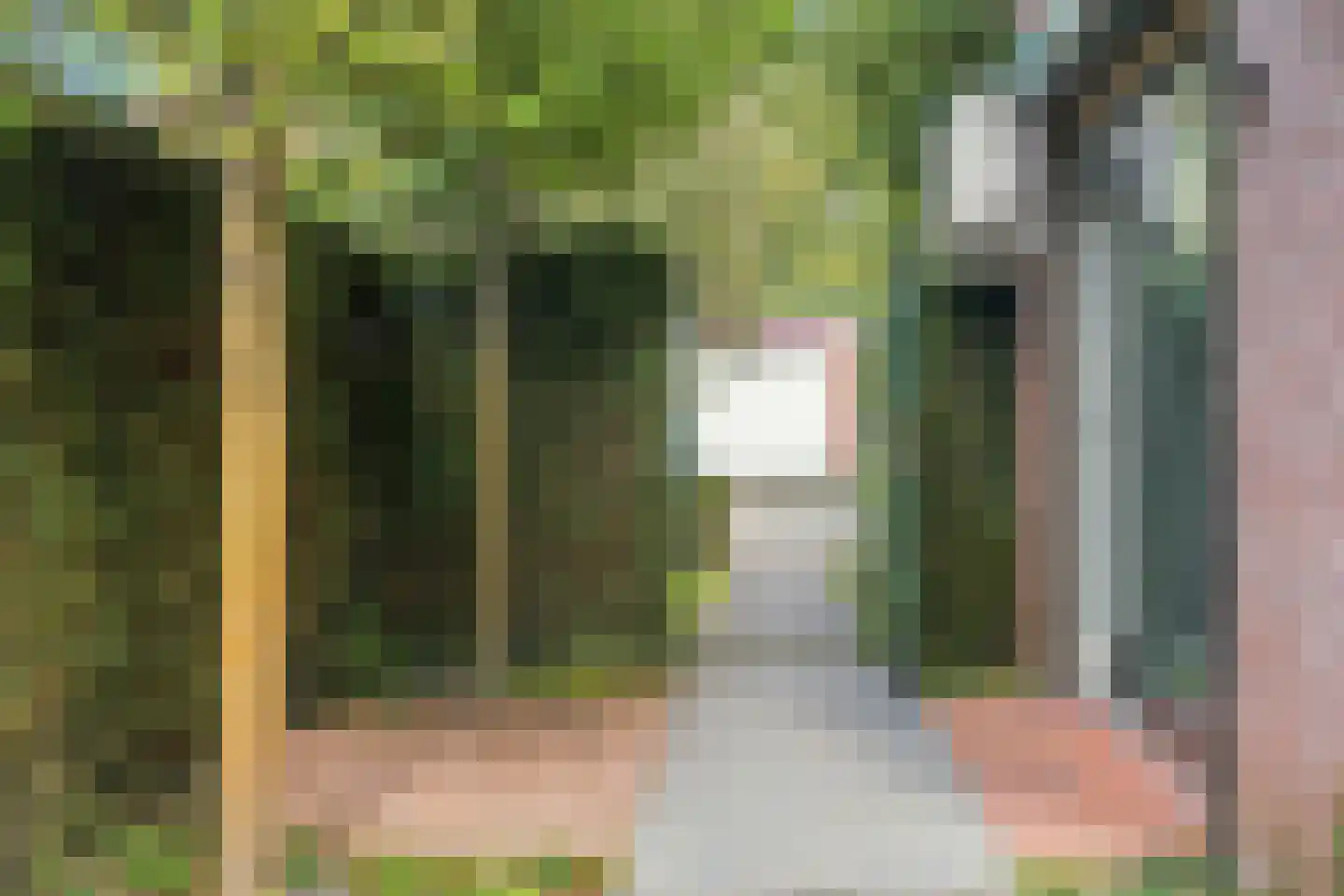 Boschstraat 10 Duiven thumbnail 49