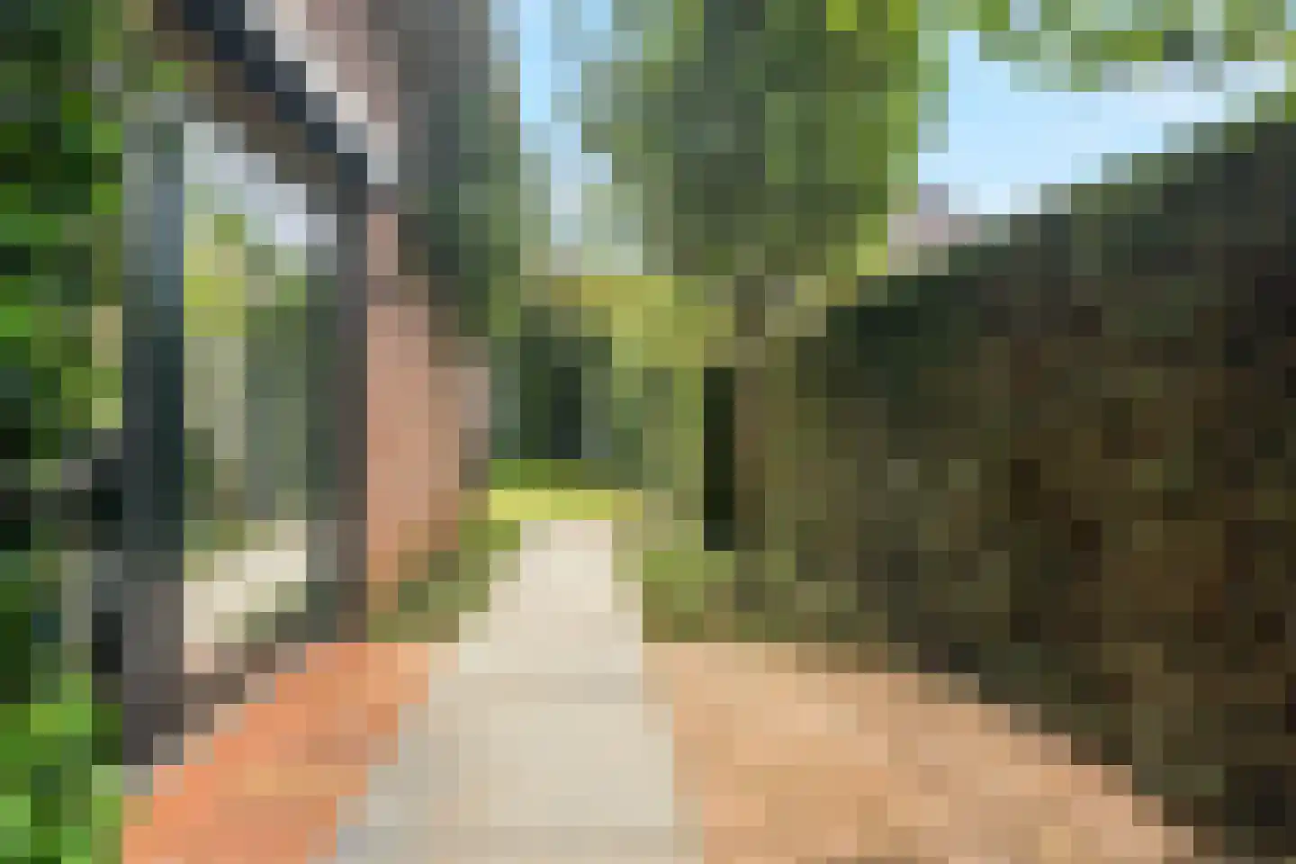 Boschstraat 10 Duiven thumbnail 50