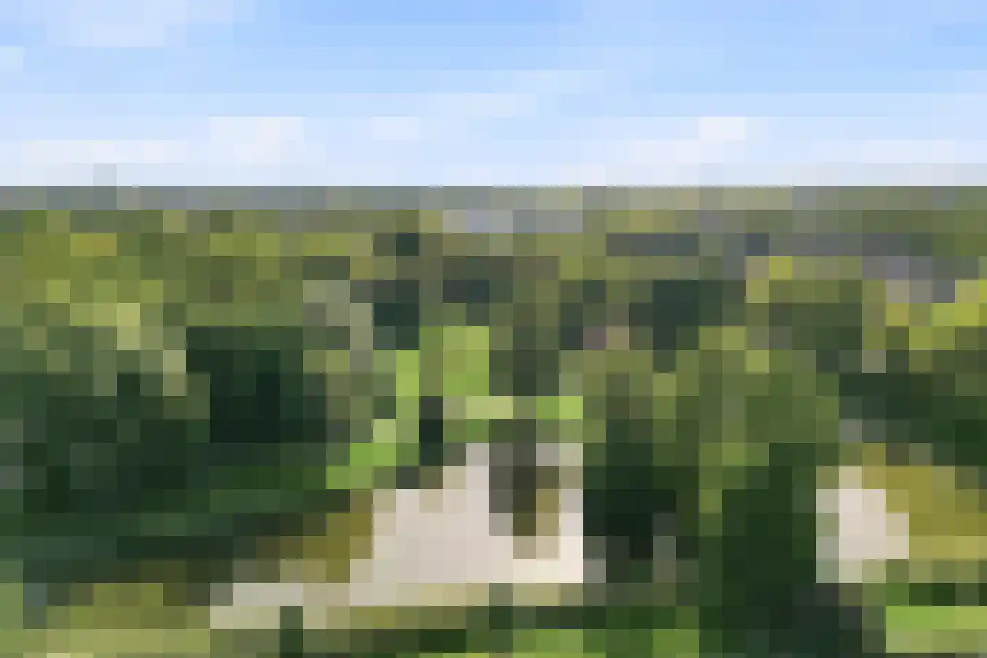Boschstraat 10 Duiven thumbnail 54