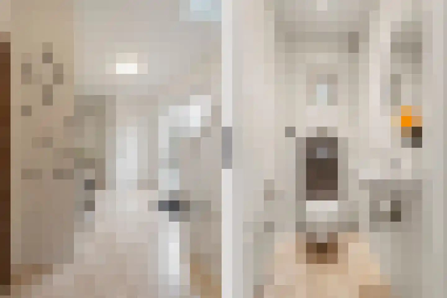 Boschstraat 10 Duiven thumbnail 9