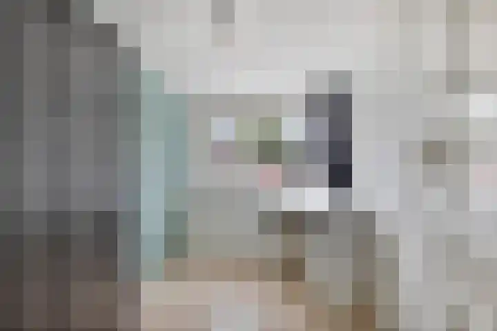 Boschstraat 19 Zaandijk thumbnail 15