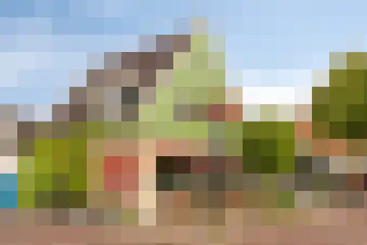 Boschstraat 19 Zaandijk thumbnail 20